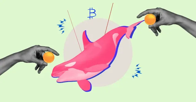 Whale-Sell-Off-Crashes-Crypto-Market-LDO-AAVE-UNI-FXS-Trading-in-Red.webp