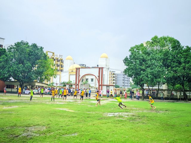 IMG_20250928_153844.jpg