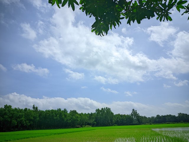 20250915_123432.jpg