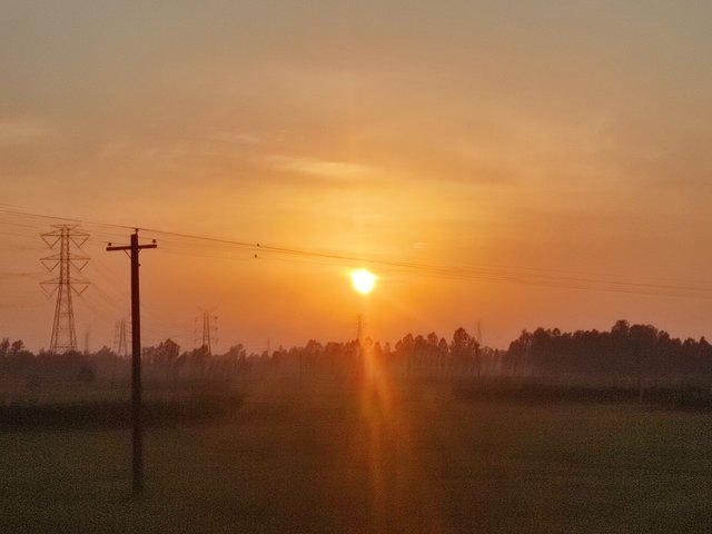 IMG_20250717_182853.jpg