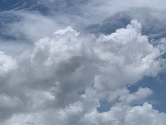 sky10.jpg