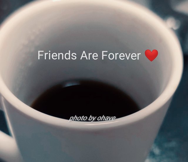 Friends are forever.jpg