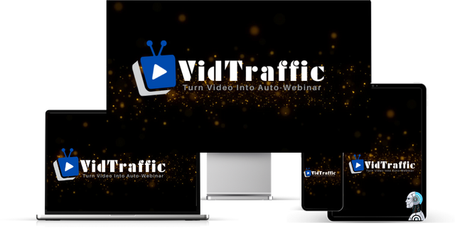 VidTraffic Logo.png