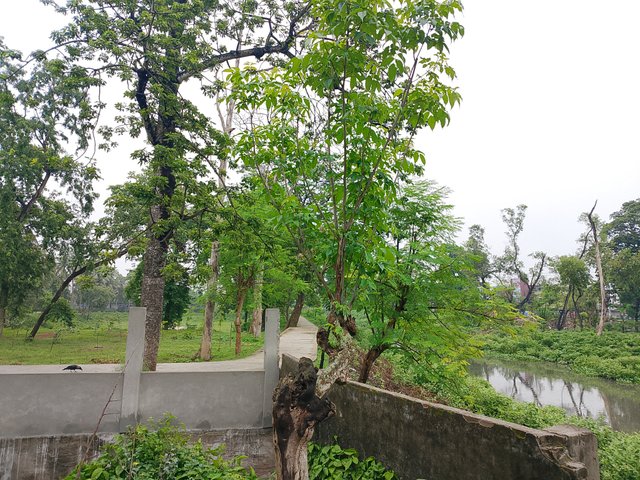 1000038830.jpg