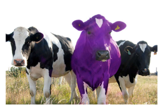 vaca purpura 2.png