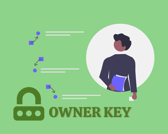 Owner Key.png