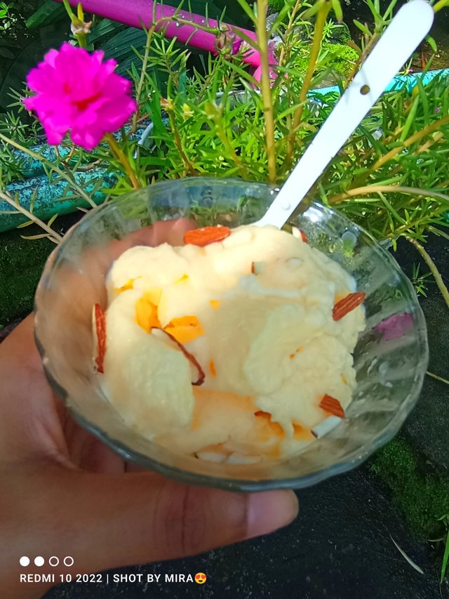 IMG_20250629_085609.jpg