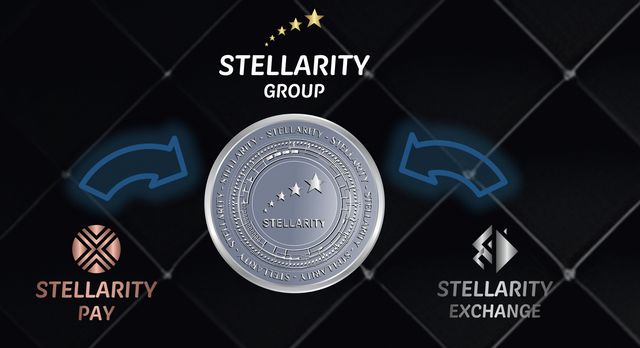 Screenshot 2024-07-18 at 22-35-23 Stellarity Group - STYT Token.png