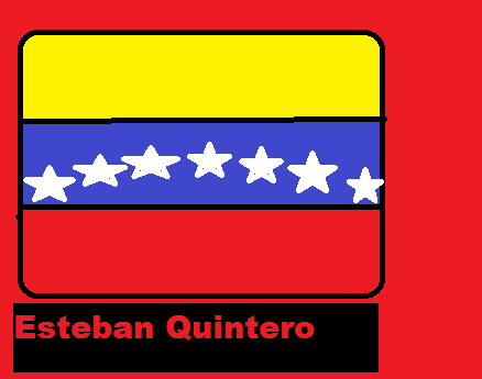 bandera de venezuela.png