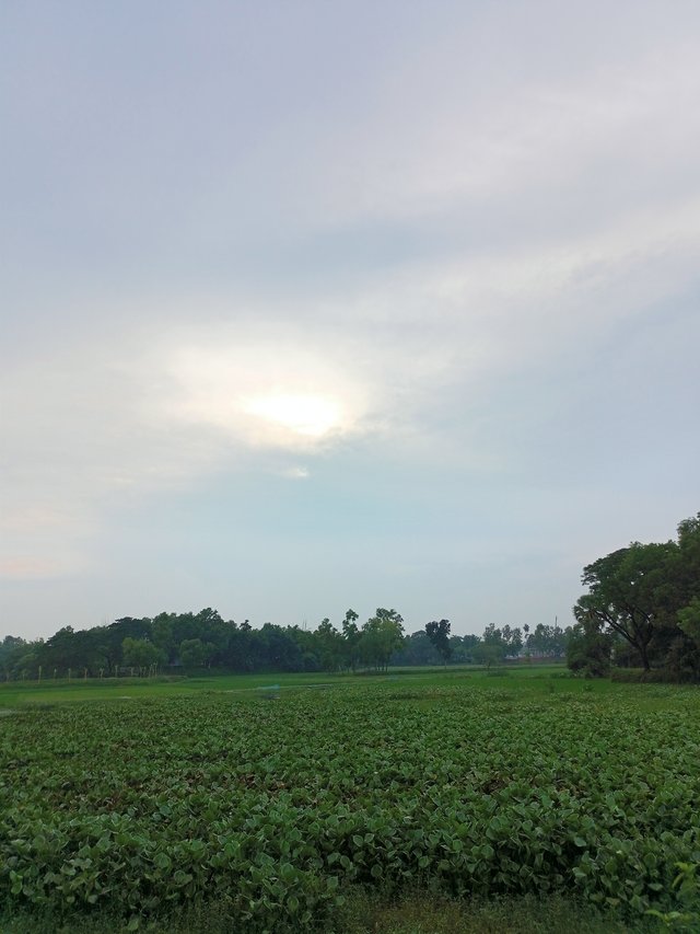 IMG20250917164920.jpg