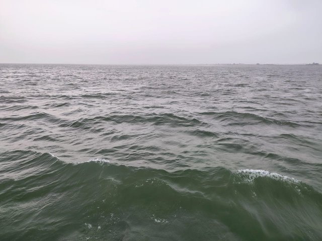 IMG-20250429-WA0010.jpg