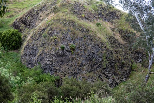 Organ Pipes National Park Steemit