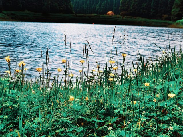 DSC07351_3.jpg