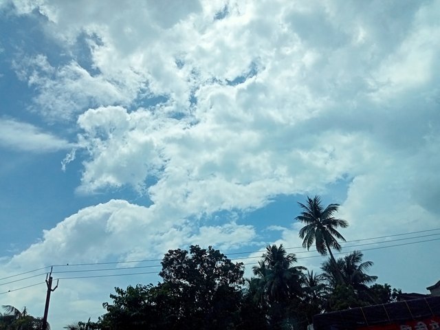 IMG20250829121122.jpg
