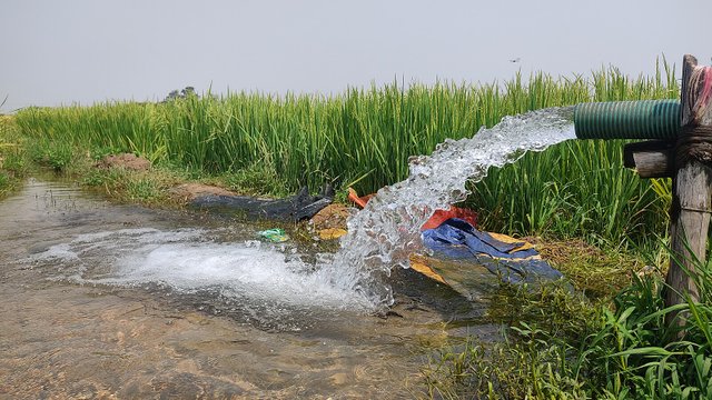 Water_pump_in_rice_field_india(west_bengal)_@subhrajyoti_2.jpg