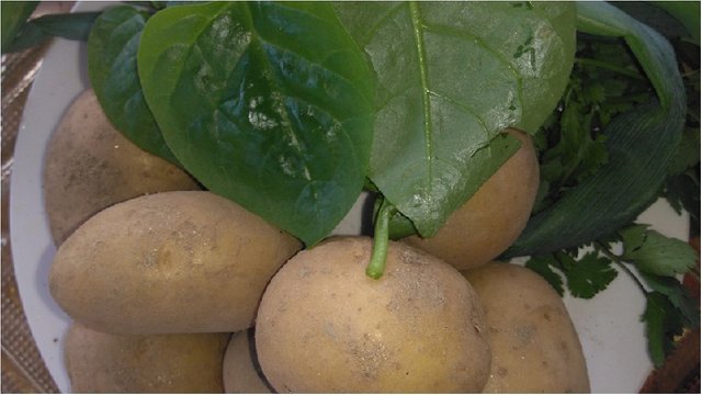 materiales crema de papas.jpg