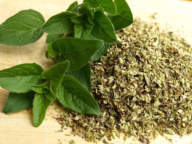 oregano-oil.jpg