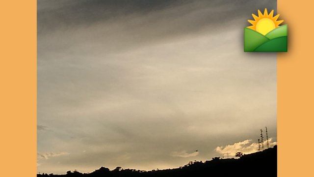 FotoGrid_20250606_192725917.jpg