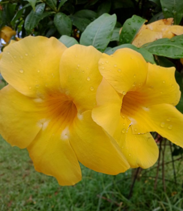 IMG_20211007_224805.jpg