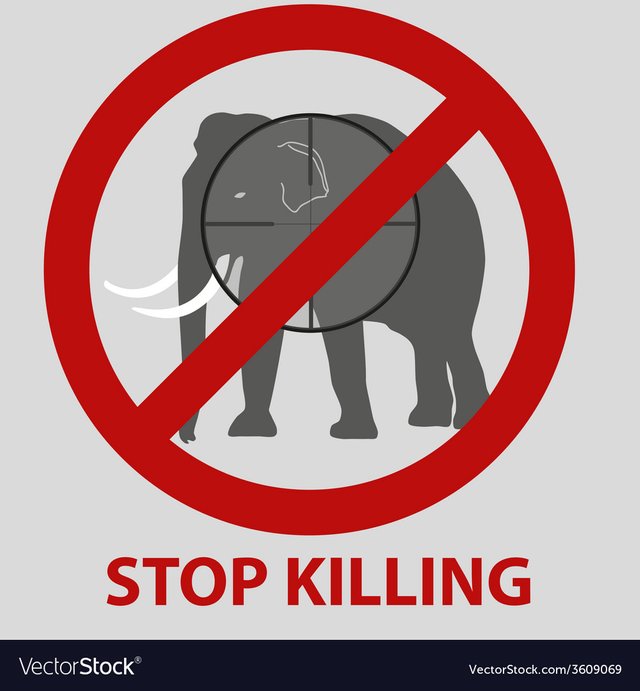 stop-killing-animals-symbol-with-elephant-eps10-vector-3609069.jpg