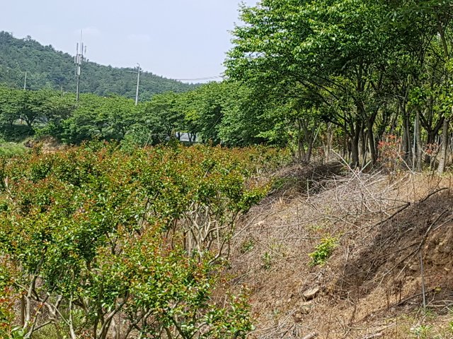 20180521_122309.jpg