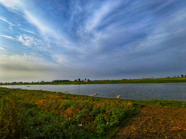 IMG_20250417_170717.jpg