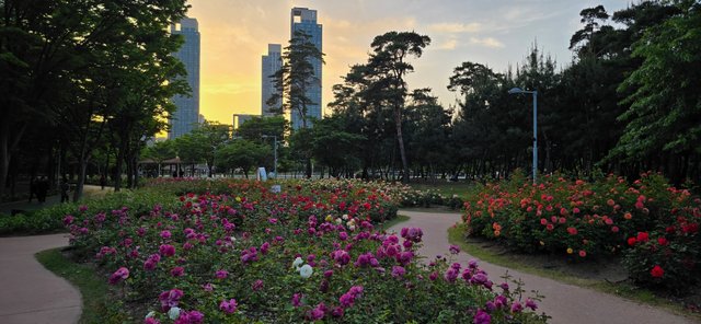 KakaoTalk_20250605_220126977_10.jpg