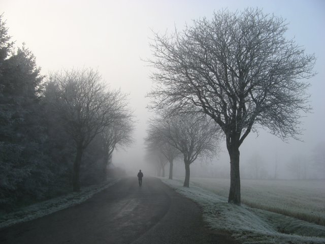 alone-cold-foggy-25763.jpg