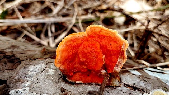 IMG_20250907_113726.jpg