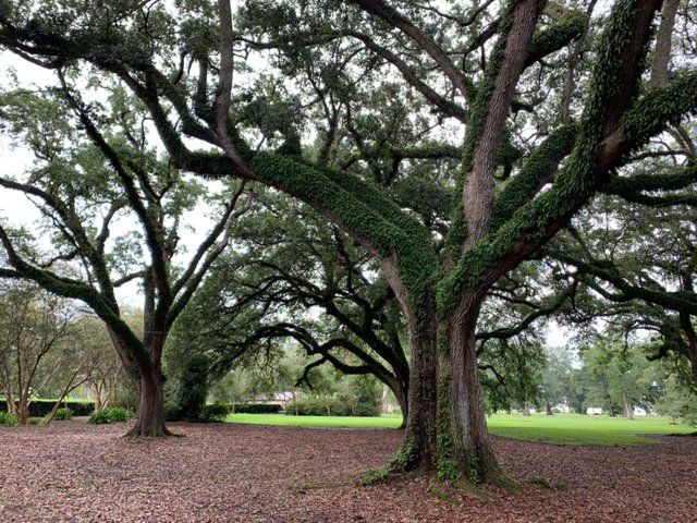 Whitney Plantation26.jpg