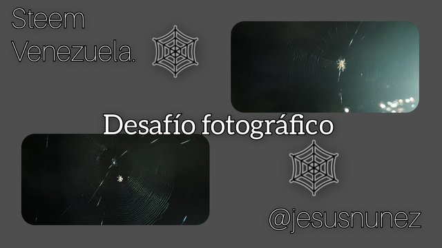 FotoGrid_20250630_203852155.jpg