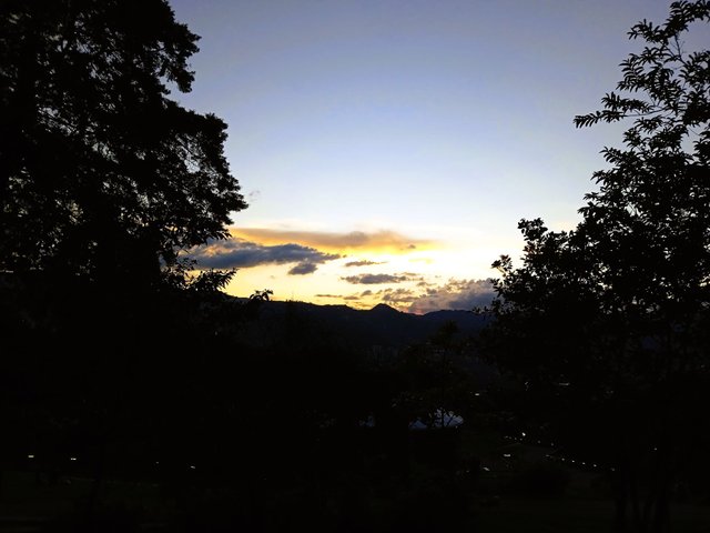IMG_20250412_180952_1.jpg