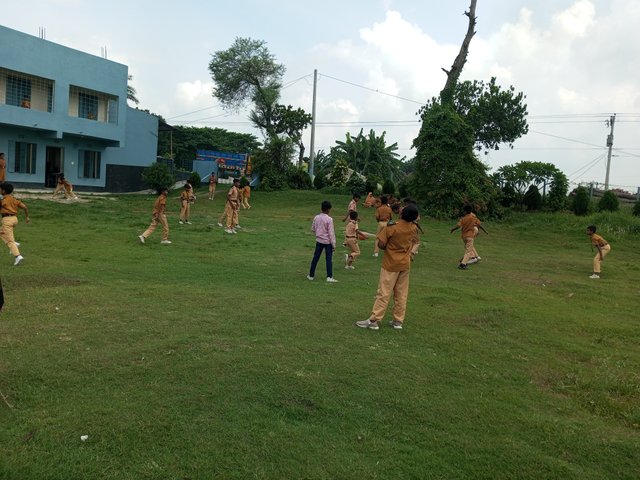 IMG_20250615_095129_163.jpg