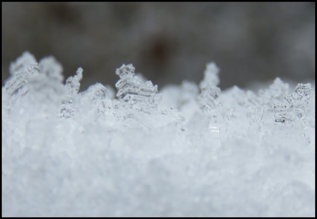 crystals on top layer of snow.JPG