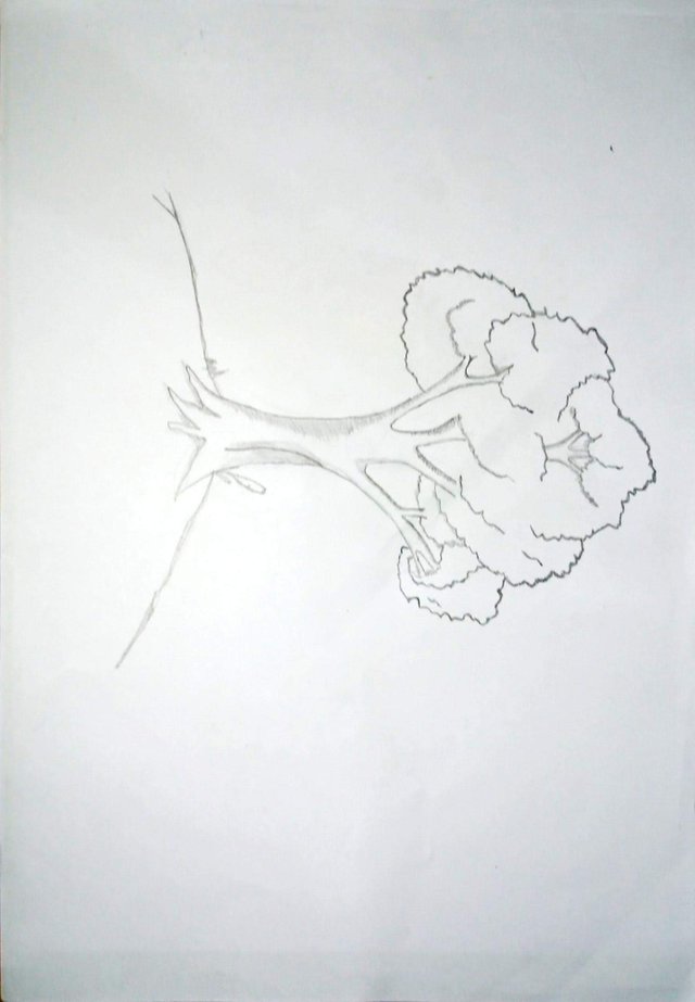 TREE DRAWING.jpg