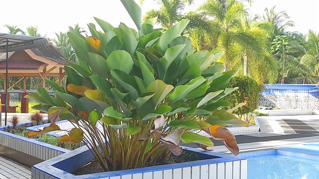 IMG_20250731_075714.jpg