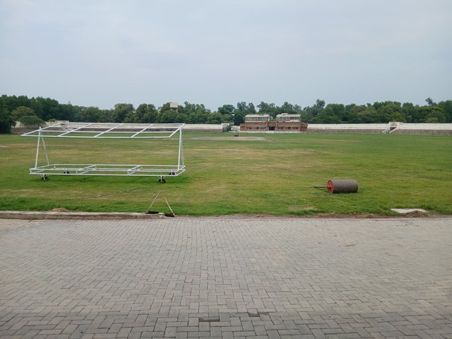 1000084915.jpg
