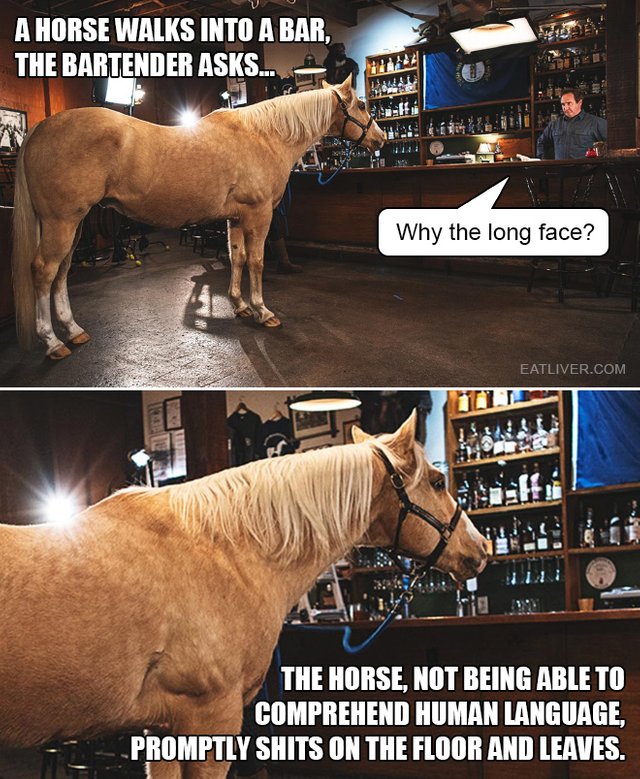 horse-bar.jpg