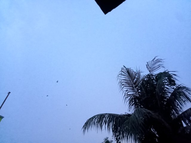 IMG20250920174431.jpg