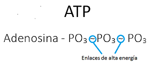 ATPPP.png