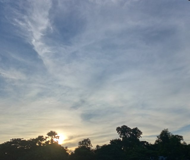 IMG_20250827_222446.jpg