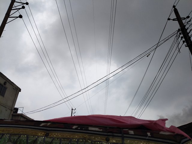 IMG20250601101332.jpg