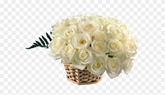 190-1902954_bouquet-clipart-rose-beautiful-white-rose-flowers.png