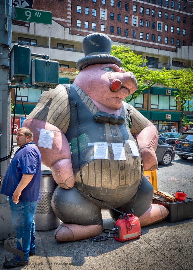 City  Street Union Pig.jpg