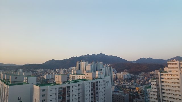 1000019079.jpg