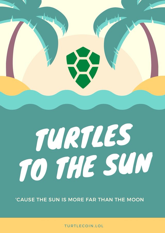 turtlecoin to the sun trtl.jpg