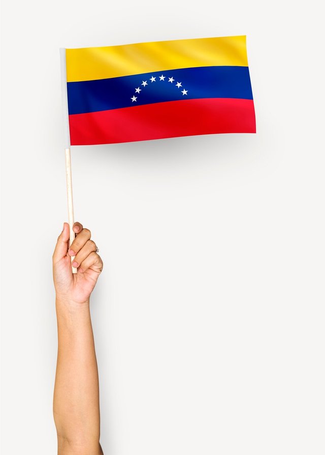 person-waving-flag-bolivarian-republic-venezuela_53876-21051.jpg