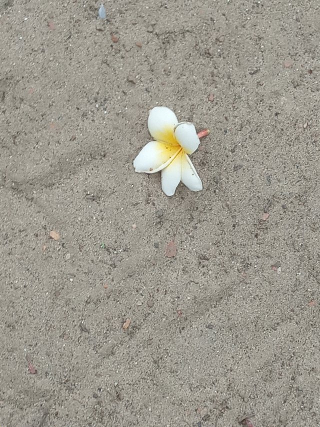 20230503_063940.jpg