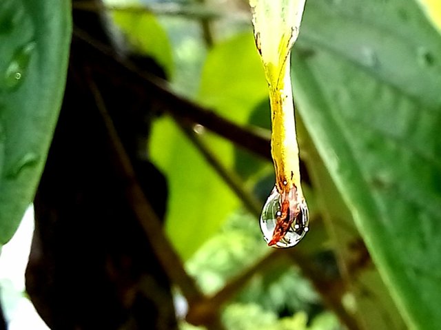 20250715_114811.jpg