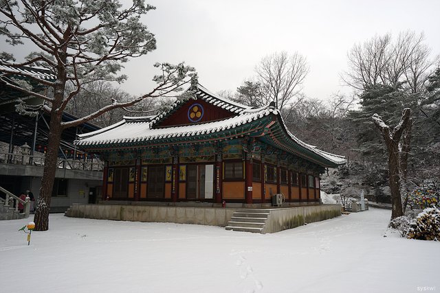 w-DSC00082.jpg